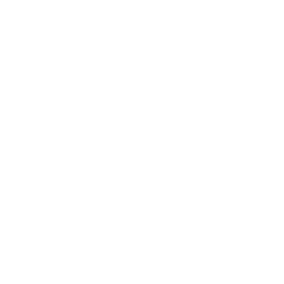 Ferrous logo